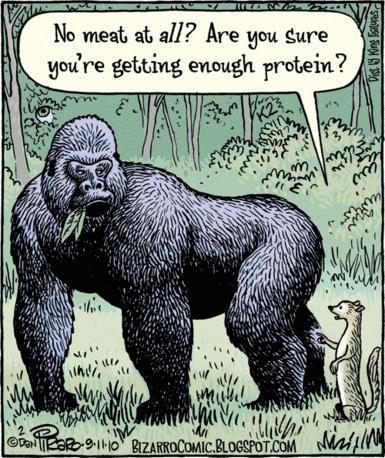 Bizarro Gorilla cartoon
